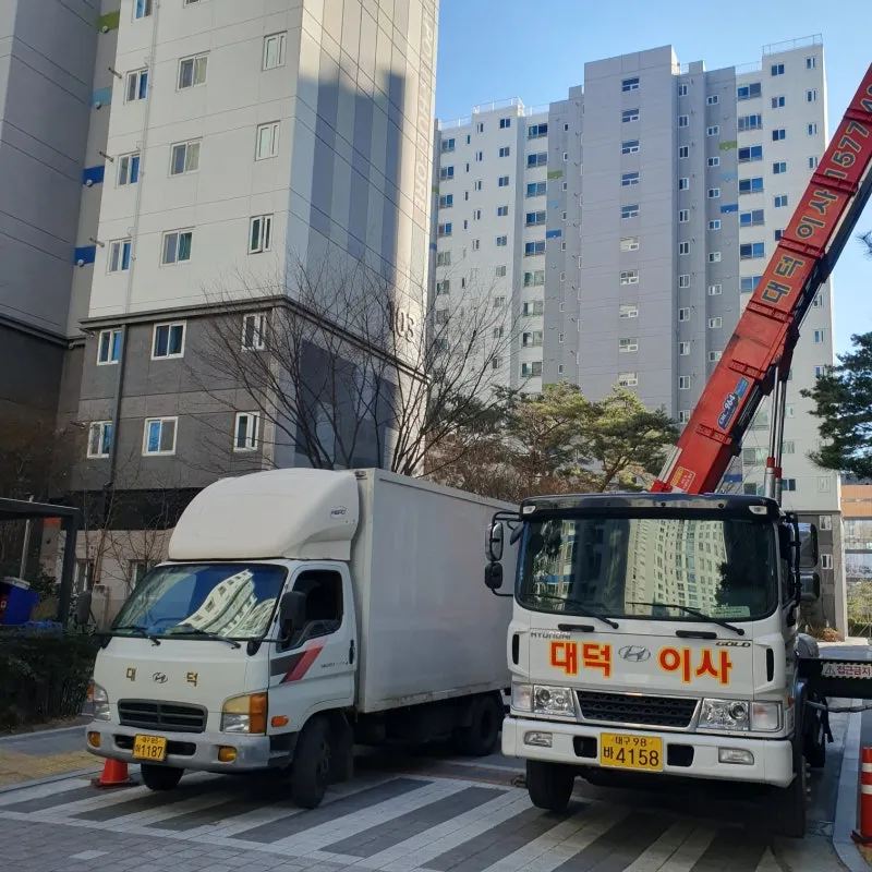 대구 이삿짐센터 포장이사 견적 비교 꿀팁